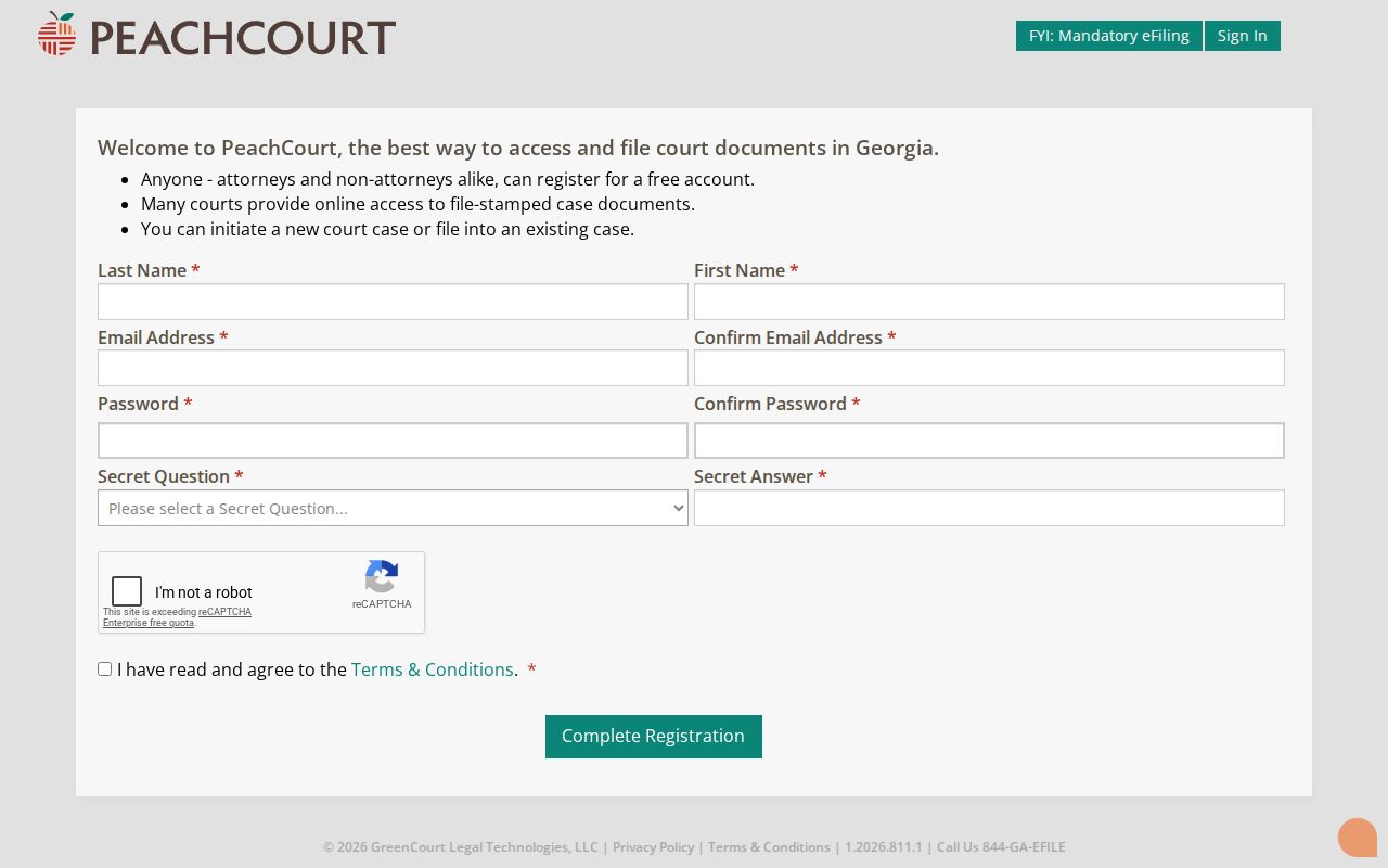 Worth County docket search PeachCourt registration